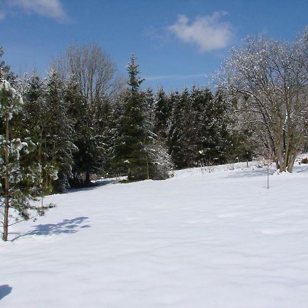 Villa La Cense De Renière Ferrières Esterno foto